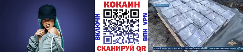 mega онион  дарнет шоп  Рузаевка  Кокаин Fish Scale 