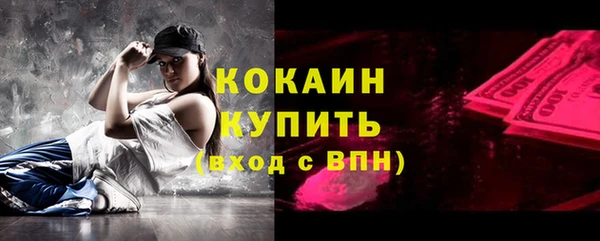 дмт Пересвет