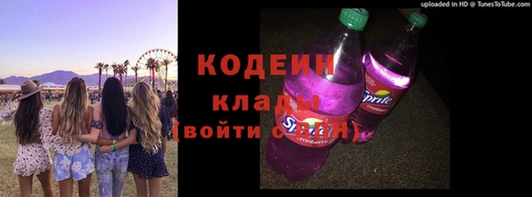 ECSTASY Бородино