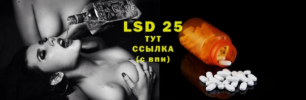 ECSTASY Бородино