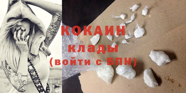 ECSTASY Бородино