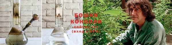 дмт Пересвет