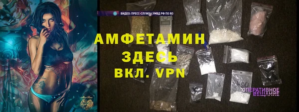 дмт Пересвет